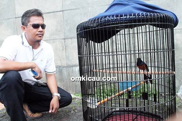 Om Bonni N dan murai batu Excavator
