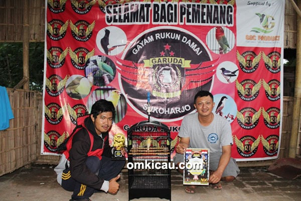 Kenari Spartan milik Om Fitra (Sembara Team)