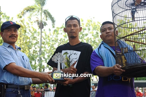 Murai batu Avatar