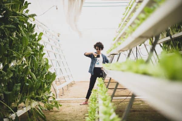 is hydroponics better is hydroponics better