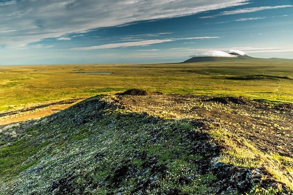 Тундра