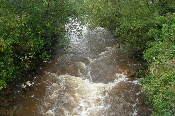 Река Куин