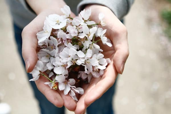 Woman manifesting love and holding light pink flowers in her hands.
