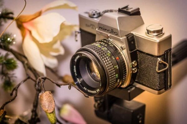 guida per principianti alla fotografia