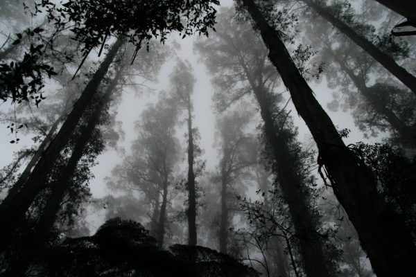 foto in bianco e nero