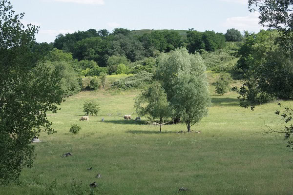 Hahneberg - Wanderung Berlin Spandau