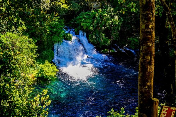Ojos del Caburgua, Chile - Experiencing the Globe