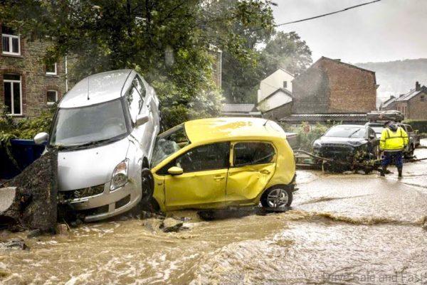 Suzuki tossed in a flood