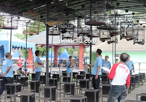 latpres kmyk kelas murai batu latpres kmyk kelas murai batu