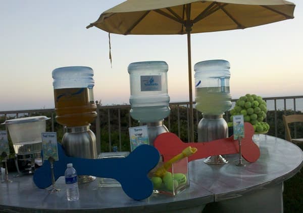Yappy Hour Water Bottles Yappy Hour Water Bottles