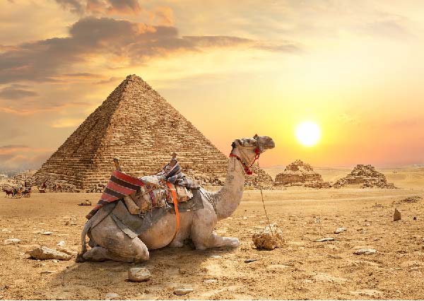 bEgyptian Hippie Biofeedback Therapy Practitioner Certified Naturopath Egyptian Hippie Biofeedback Therapy Practitioner Certified Naturopath
