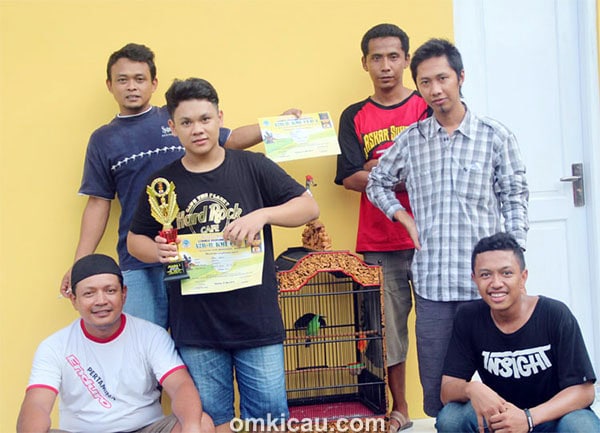 Kru cucak hijau Casper