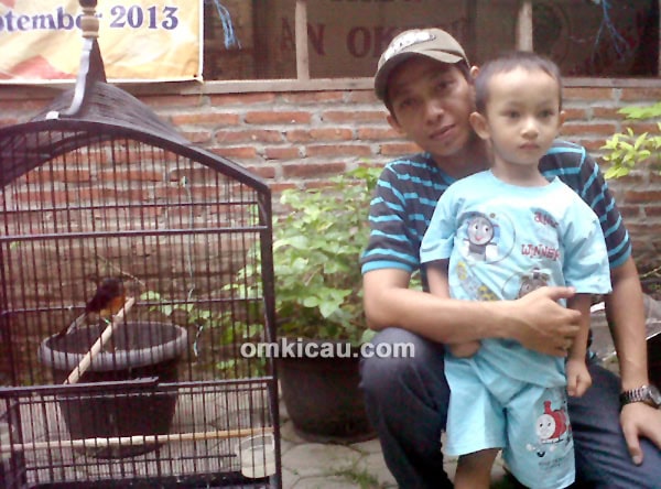 Penangkaran murai batu Wok BF Pati