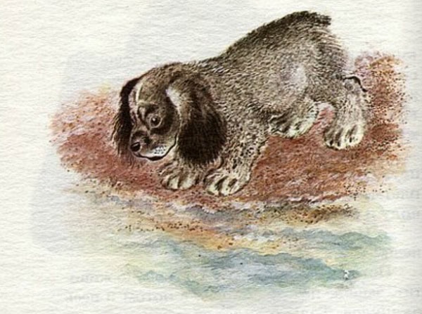 Томка у воды