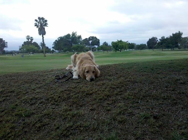 Apache golf course Apache golf course