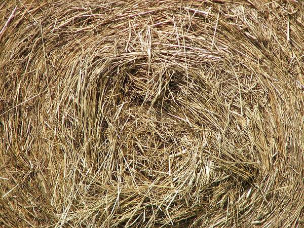 A bale of hay