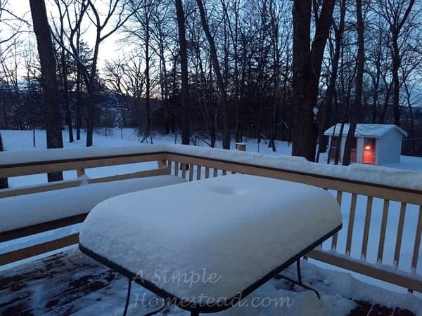 Jan 2019 snowfall
