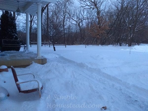 Jan 28, 2019 polar vortex