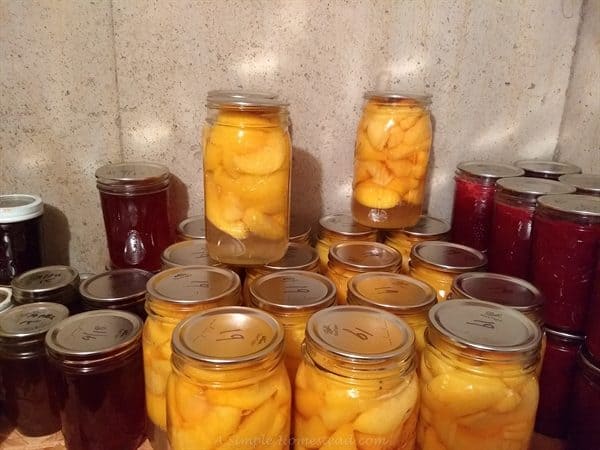 homestead update - canning peaches (and strawberry jam)