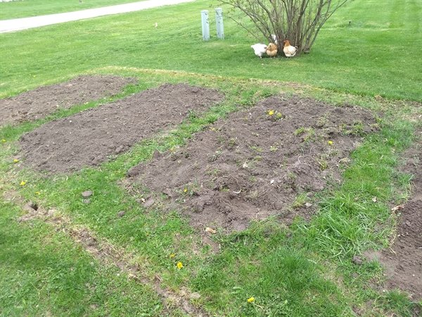 old garden area (looks like graves!)