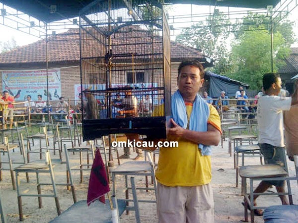 Om Toriq dan kacer Orok-Orok