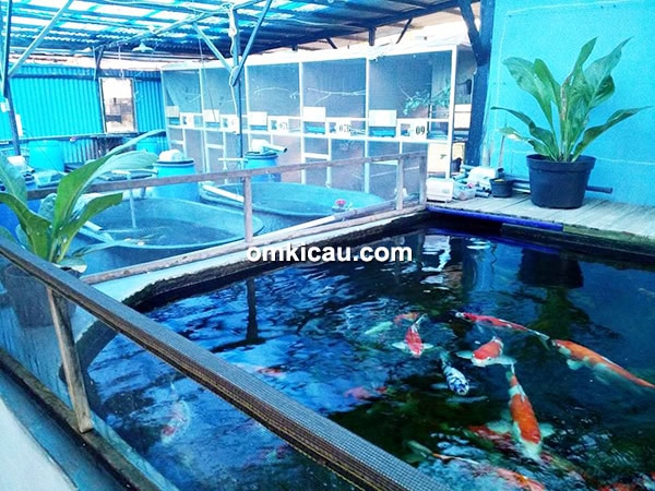 Eska Farm Surabaya