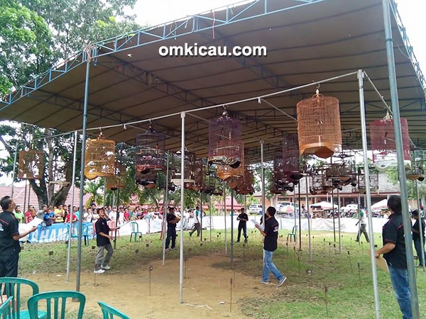 Liga SRJ Seri 6 di Bangko