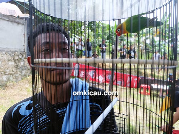 Lovebird Sinden