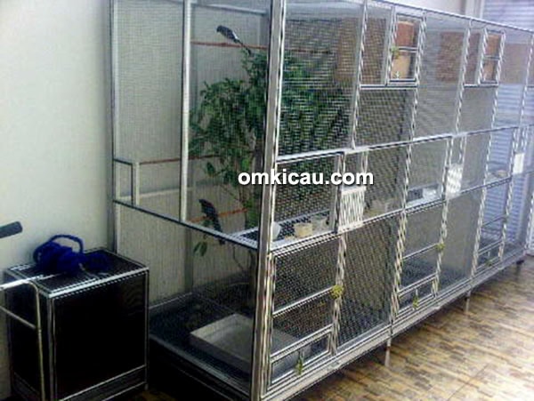 Kandang Ternak Knockdown Inovasi Baru Fajar Indah Om Kicau