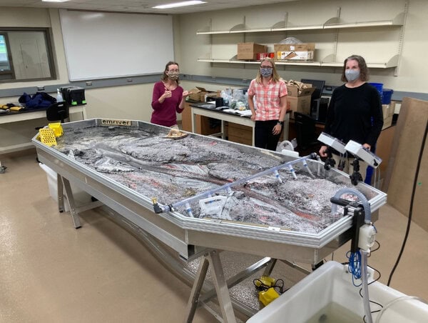 Professor Laura Triplett, lab assistant Morgan, and Professor Julie Bartley with their new Emriver Em4