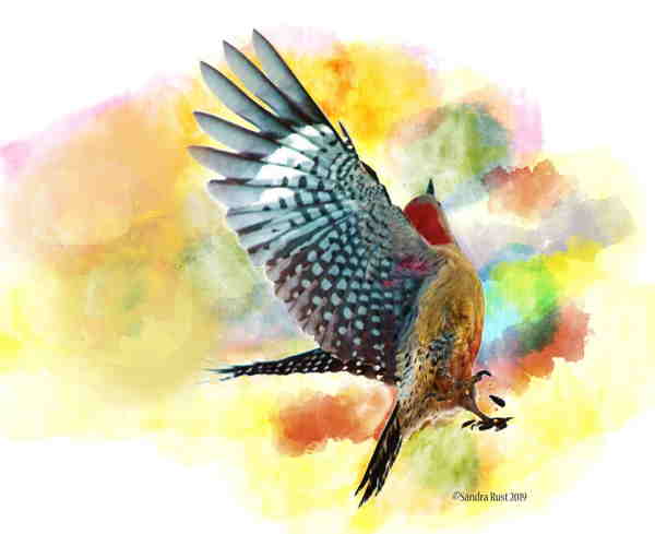 Beautiful Art An art piece of a flying bird with a yellow background.