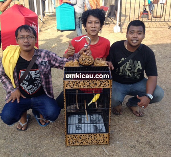 Om Hengky Junk dan kenari Golden Rose