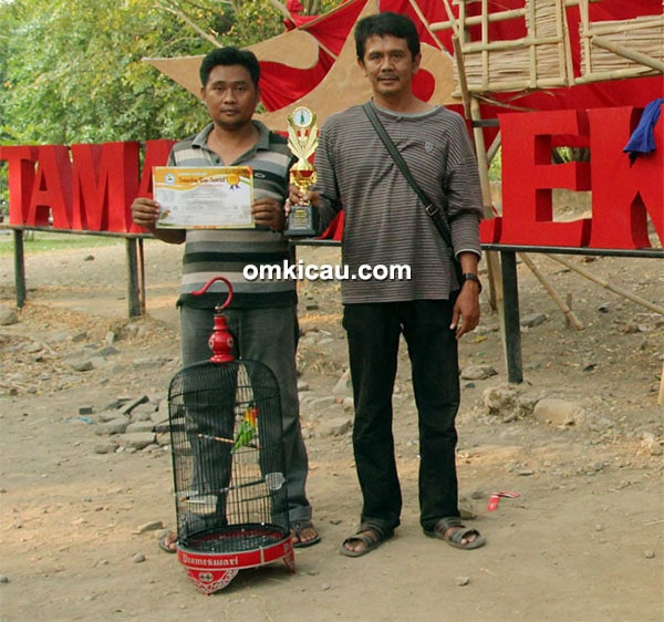 Arif dan lovebird Imer
