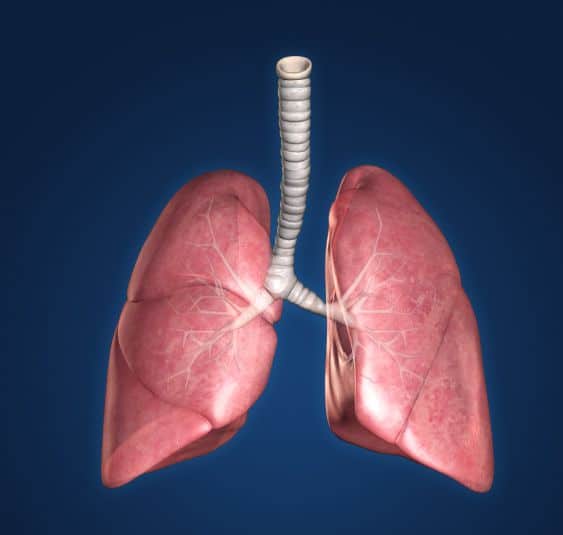 Enfermedades pulmonares