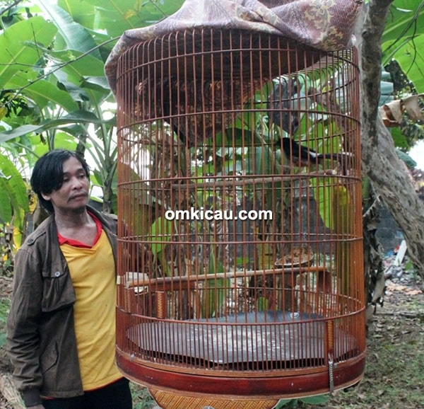 Om Miun Kuningan
