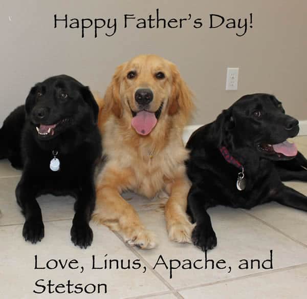 Fathers Day From Dogs Fathers Day From Dogs