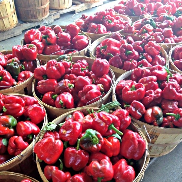 A close up of many bushels of red bell peppers