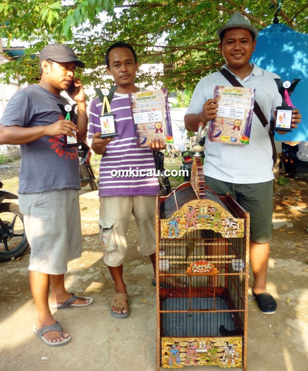 Om Fajar dan kenari Golden