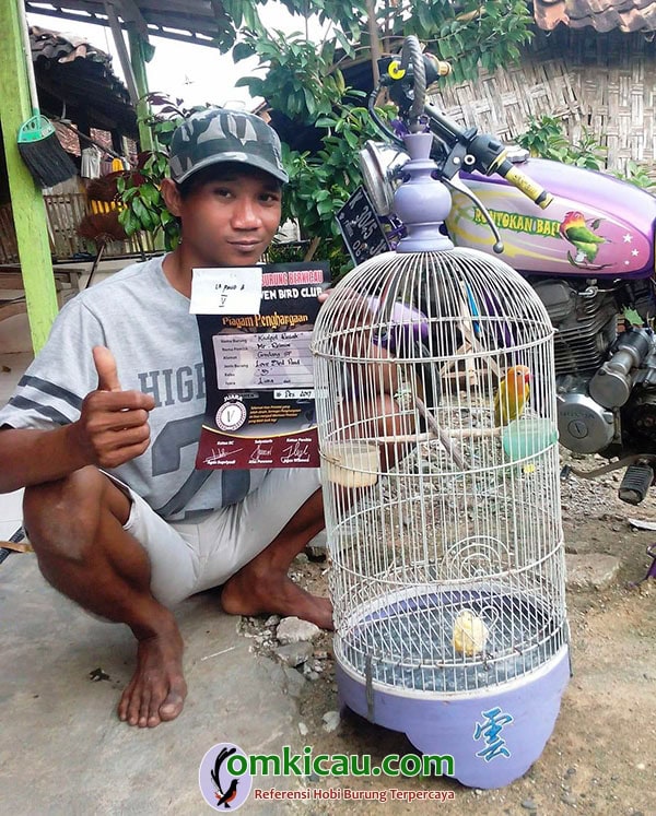 lovebird Cakram
