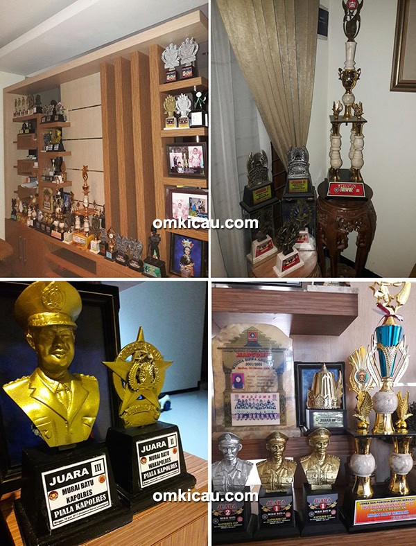 Sebagian koleksi trofi murai batu Mick Jagger perawatan murai batu mick jagger