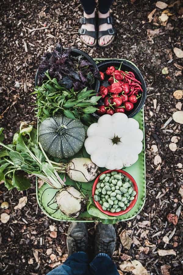 Was kommt dabei heraus wenn zehn Garten-Blogger ein Erntedank-Fest feiern? Üppige Blumendeko, köstliche Gemüsegerichte und sehr glückliche Menschen.