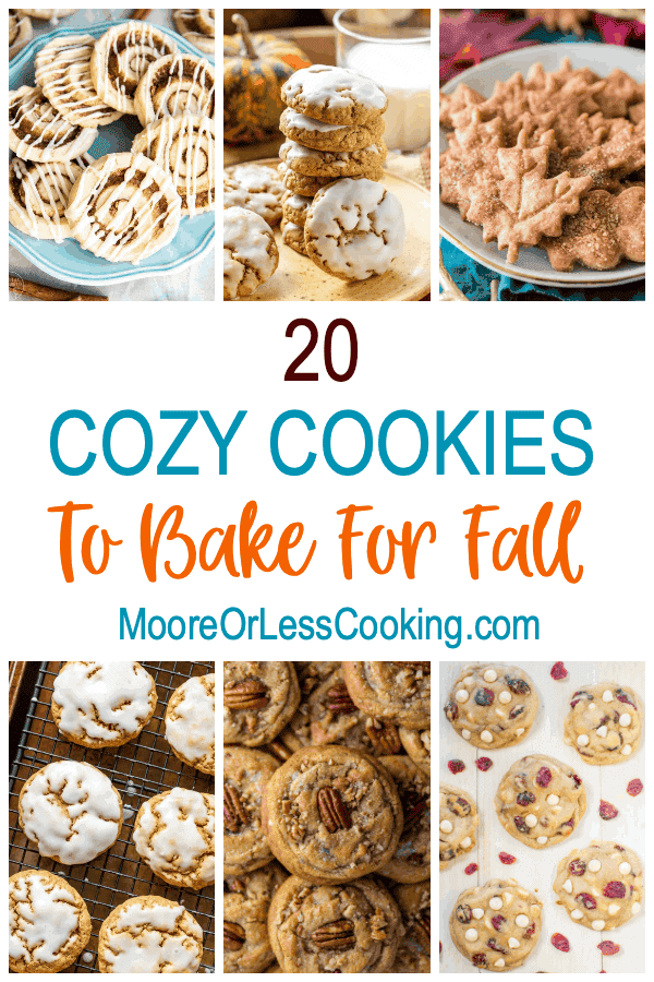 20 Cozy Cookies To Bake For Fall Moore or Less Cooking