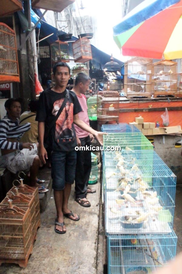 Pasopati Bird Shop