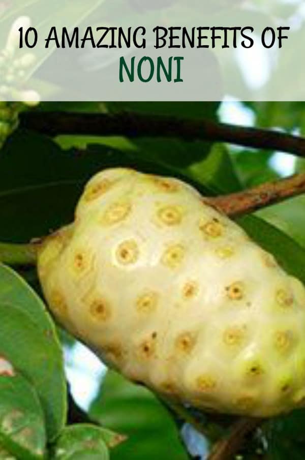 10 Amazing Health Benefits of Noni - Healthier Steps