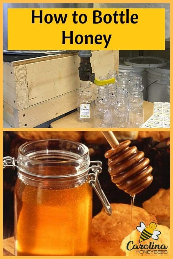 How to Bottle Honey After Harvest Carolina Honeybees