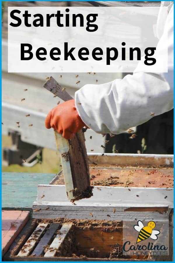 Starting Beekeeping Are You Ready For A Hive? Carolina Honeybees
