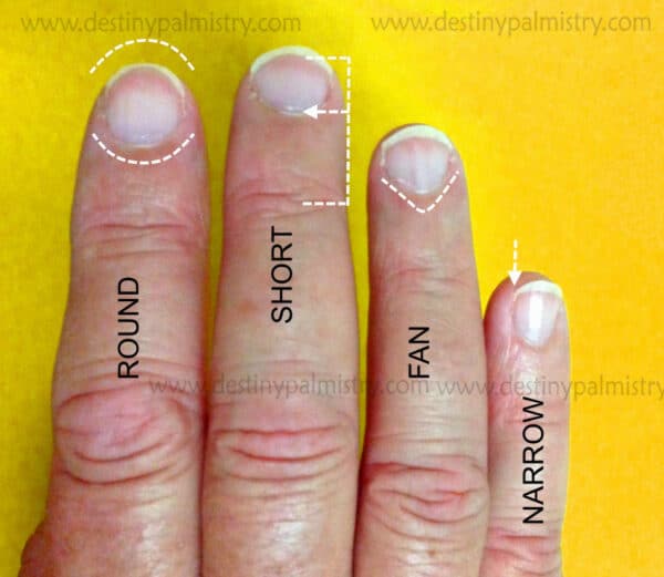 fan shaped fingernail