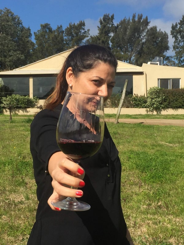 Visita à vinícola Viñedo de los Vientos Visita à vinícola Viñedo de los Vientos