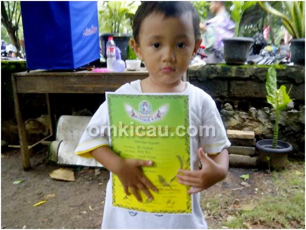 Cucak hijau Mr Granat