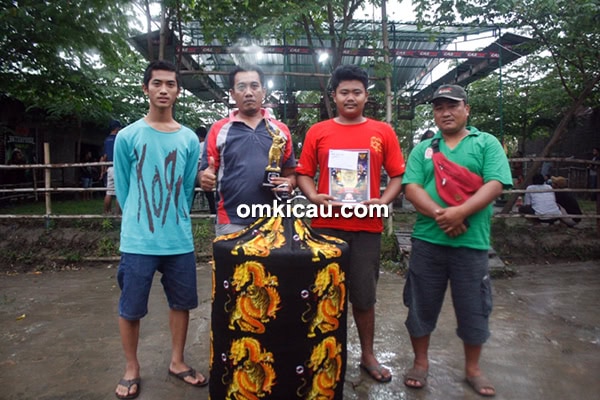 Murai batu Pecut